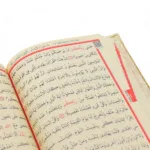 Meva Serisi Metalize Kuran-ı Kerim Hediyelik Seti - Görsel 7