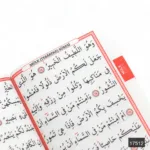 Çanta Boy 80 Sayfa 41 Yasin - Elmalılı Hamdi Yazır Meali - Görsel 3