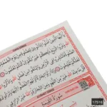Orta Boy 80 Sayfa 41 Yasin – Elmalılı Hamdi Yazır Meali - Görsel 4
